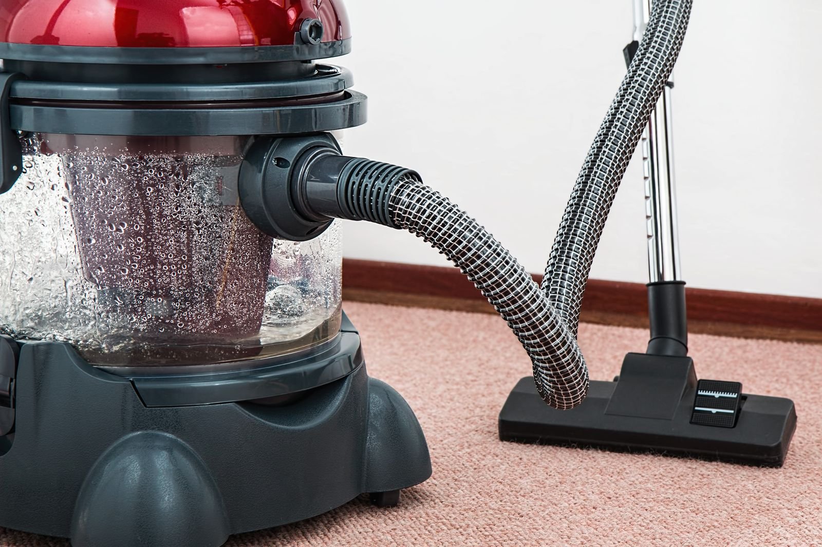 Professional carpet shampooing in a Manchester home