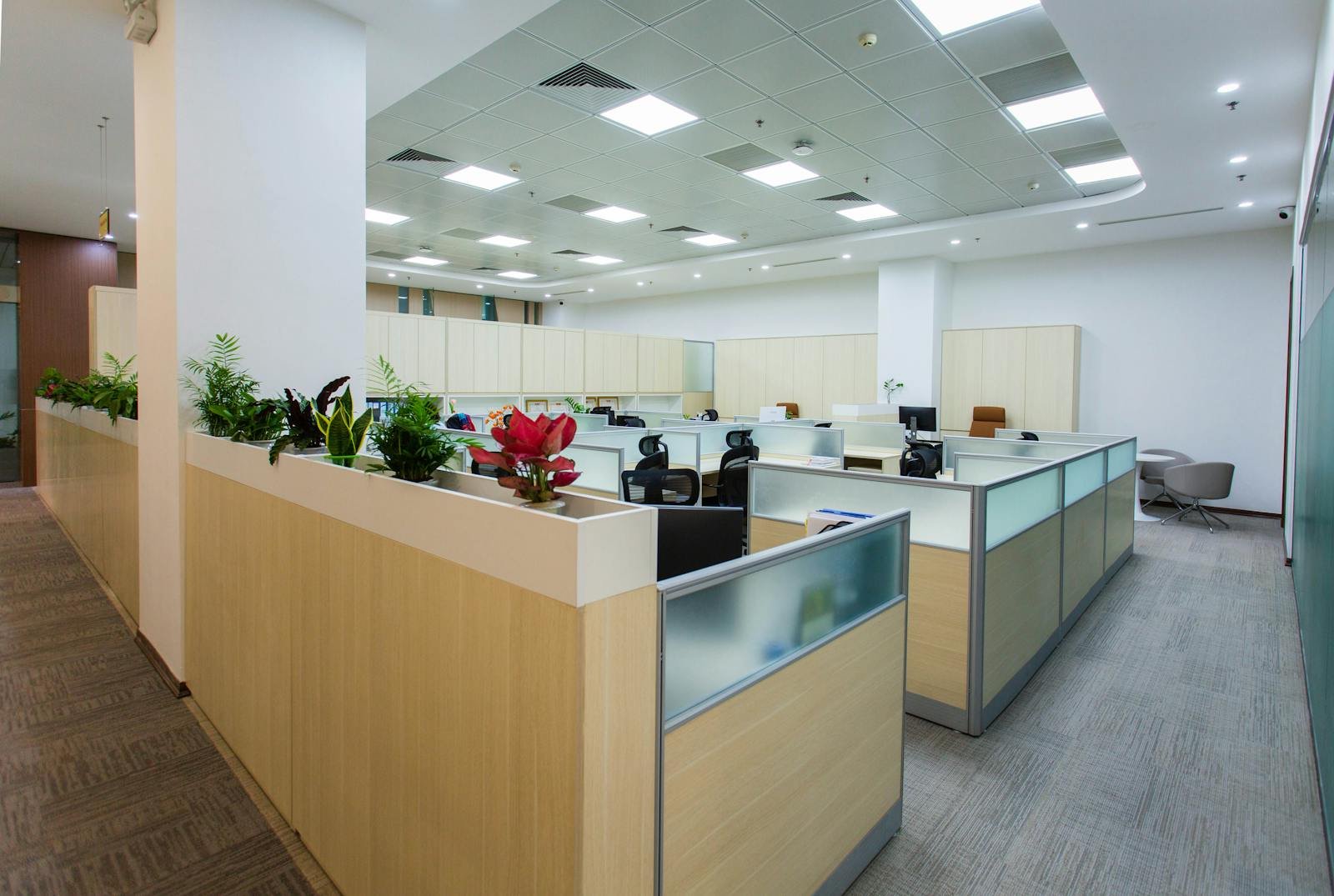 Modern office space in Manchester maintained by professional commercial cleaners