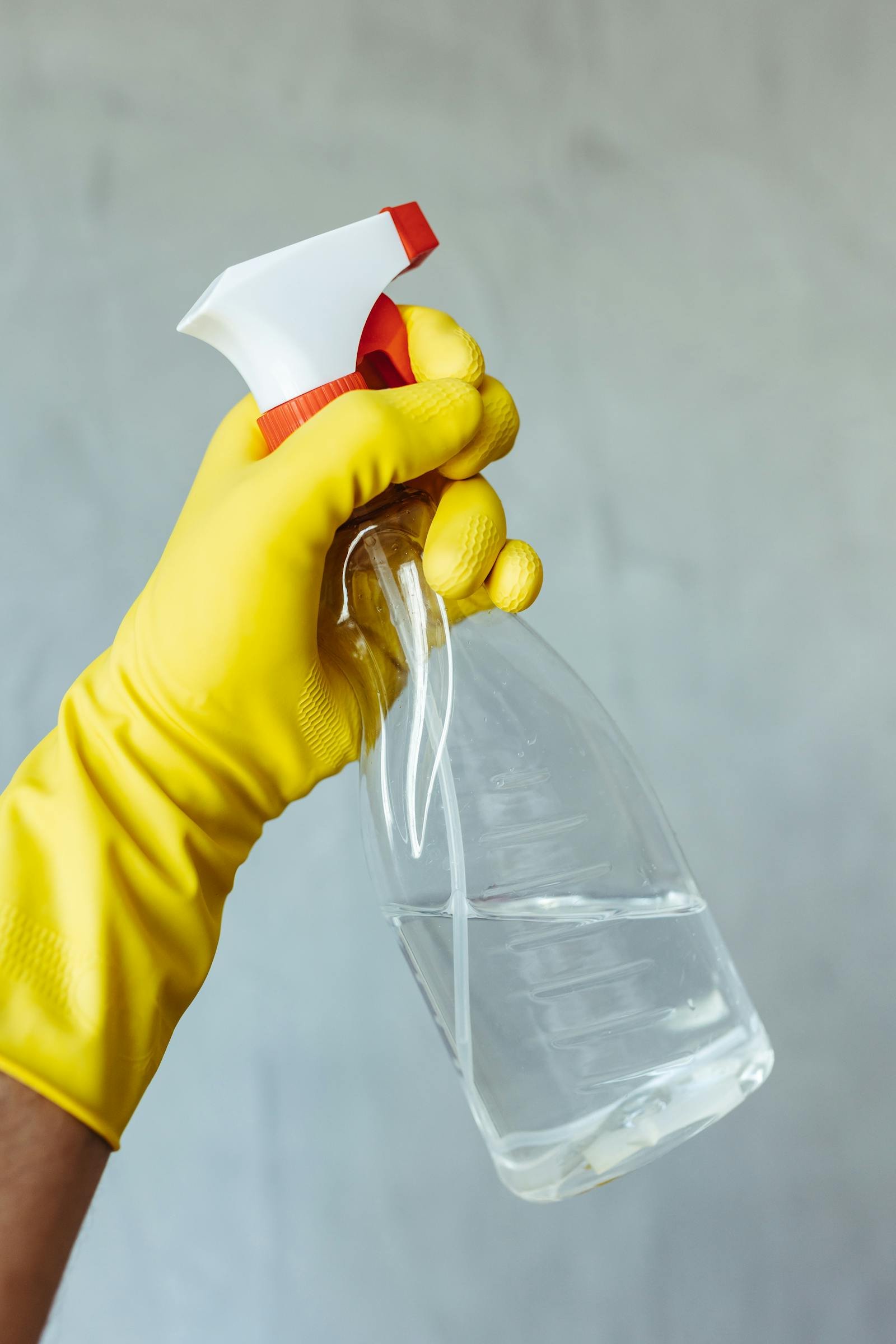 Carpet stain treatment spray in Manchester